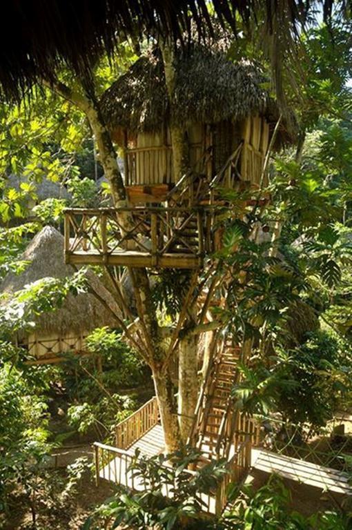 Dominican Tree House Village Santa Barbara De Samana Exteriör bild