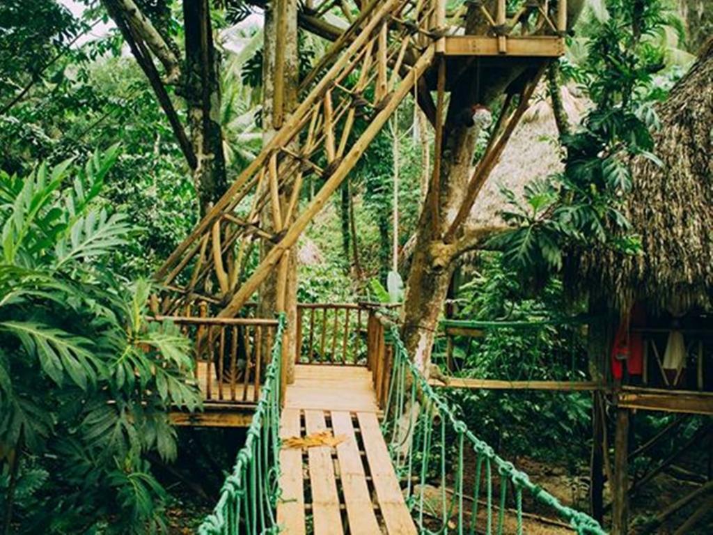 Dominican Tree House Village Santa Barbara De Samana Exteriör bild