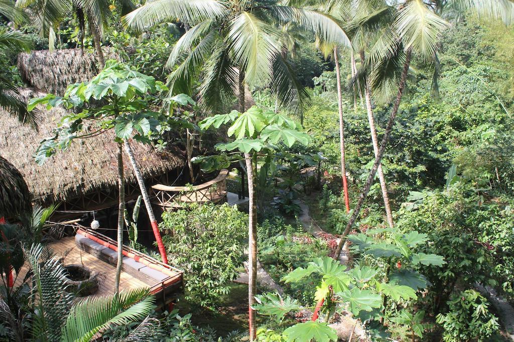Dominican Tree House Village Santa Barbara De Samana Exteriör bild