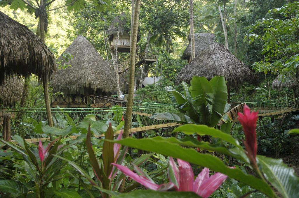 Dominican Tree House Village Santa Barbara De Samana Exteriör bild