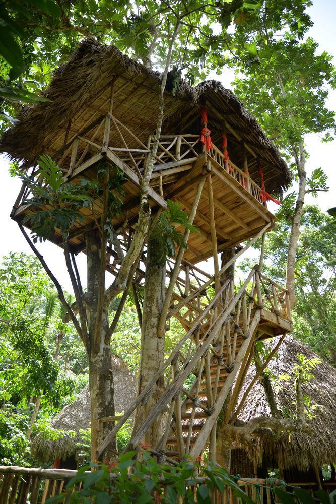 Dominican Tree House Village Santa Barbara De Samana Exteriör bild