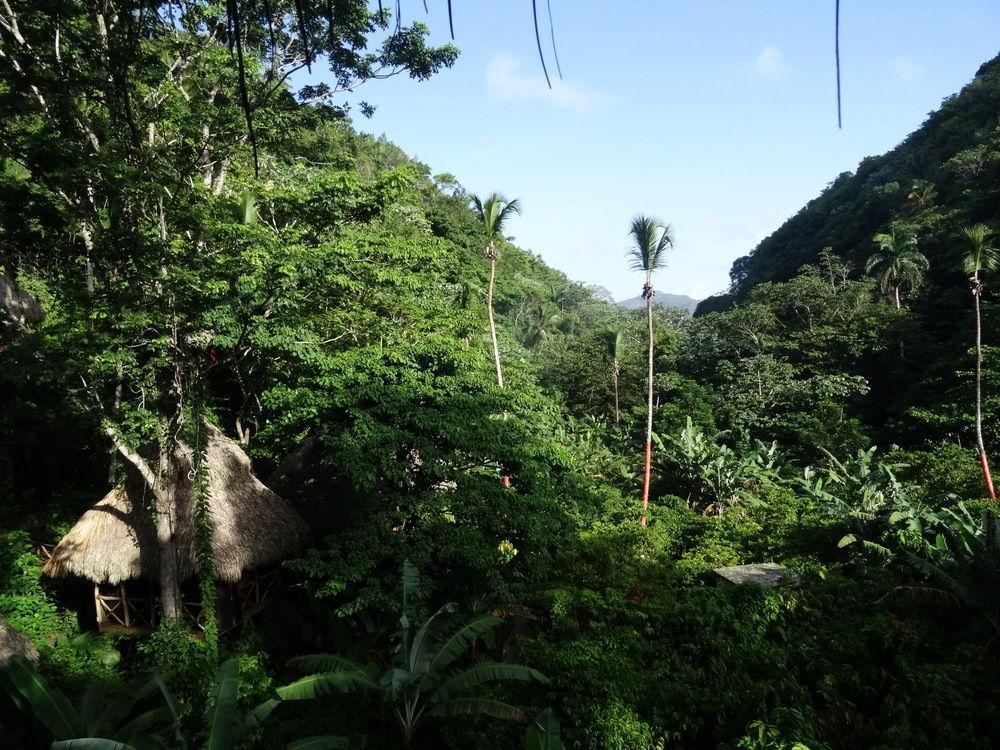 Dominican Tree House Village Santa Barbara De Samana Exteriör bild
