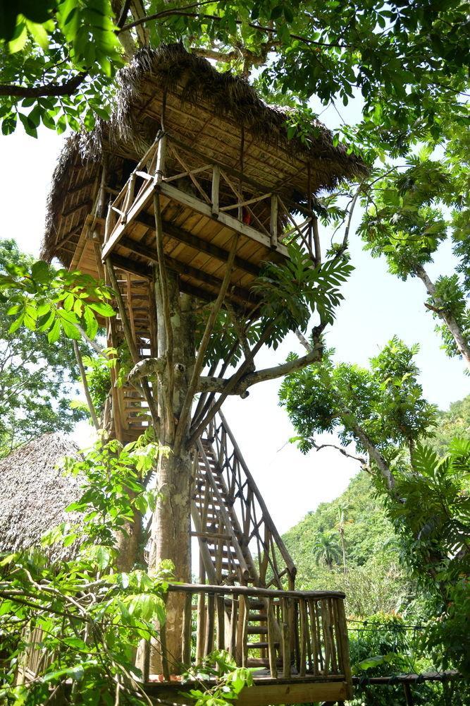 Dominican Tree House Village Santa Barbara De Samana Exteriör bild